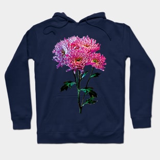 Chrysanthemums - Pink and Lavender Mums Hoodie